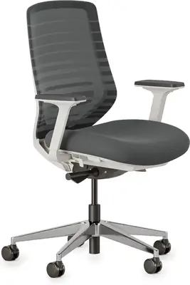 Branch Ergonomic Chair